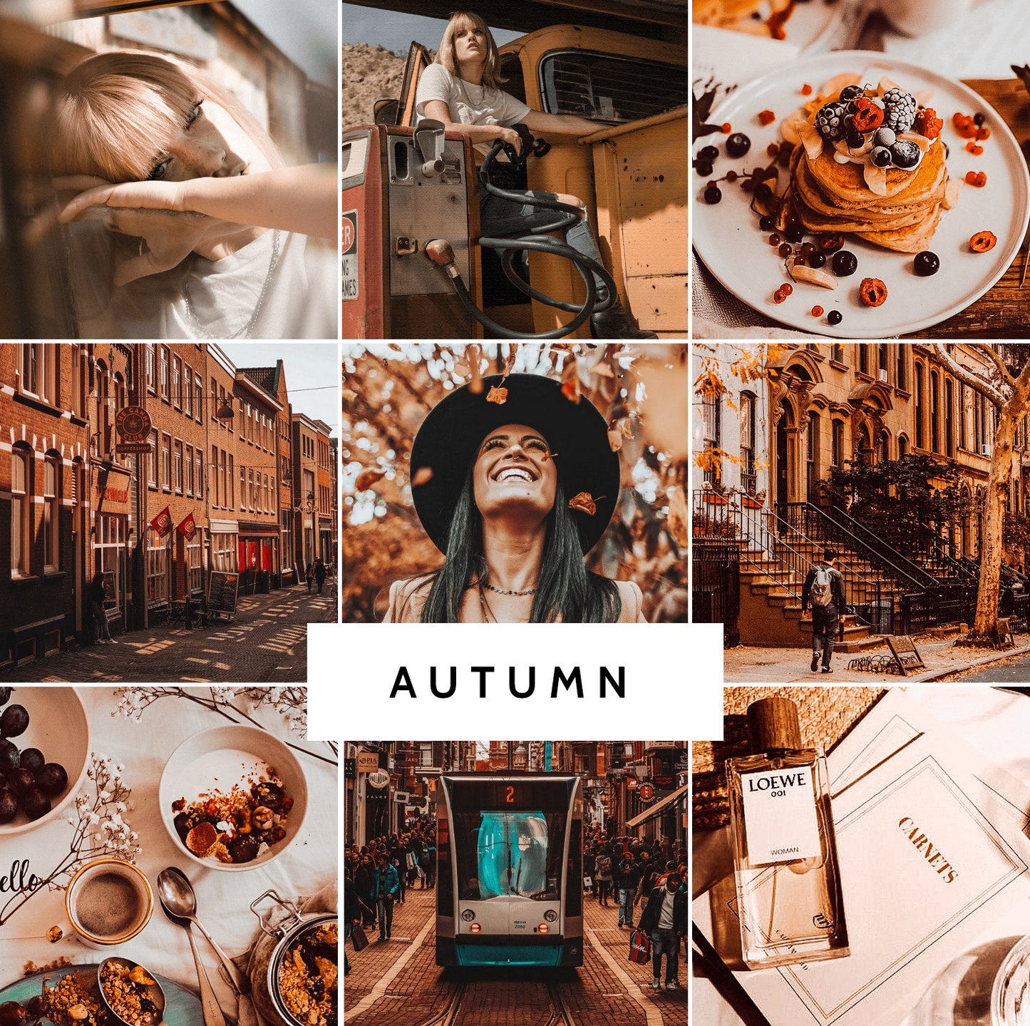 AUTUMN COLLECTION (20 presets)