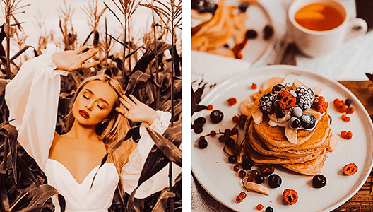 AUTUMN COLLECTION (20 presets)