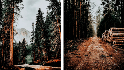 MOODY NATURE COLLECTION (20 presets)
