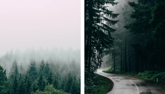 MOODY NATURE COLLECTION (20 presets)