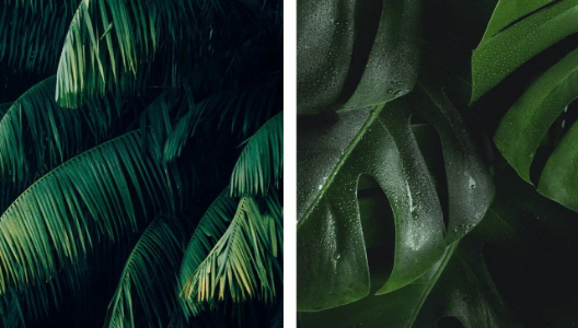 BALI COLLECTION (20 presets)