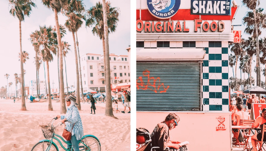 LOS ANGELES COLLECTION (20 presets)