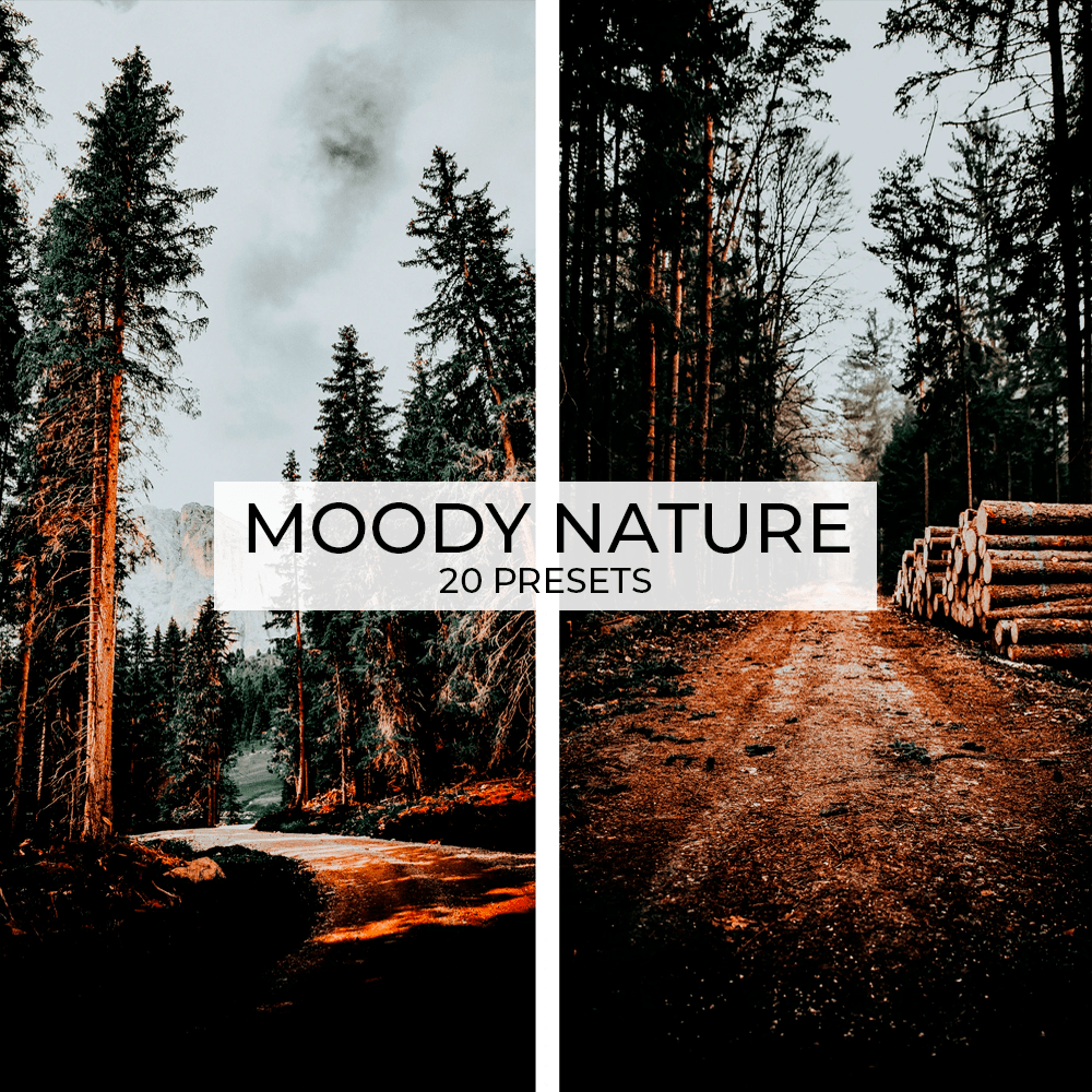 420 PRESETS BUNDLE