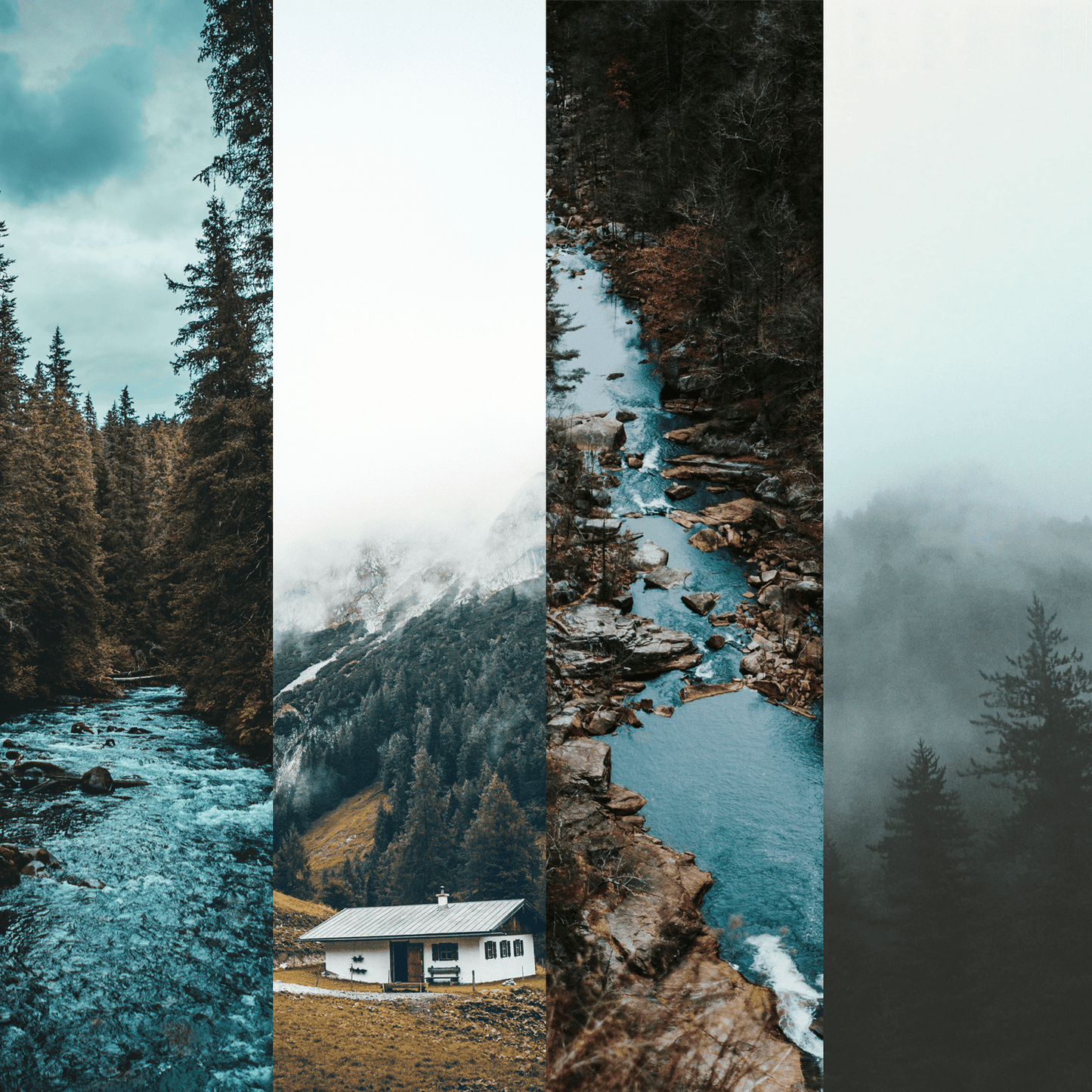 MOODY NATURE COLLECTION (20 presets)