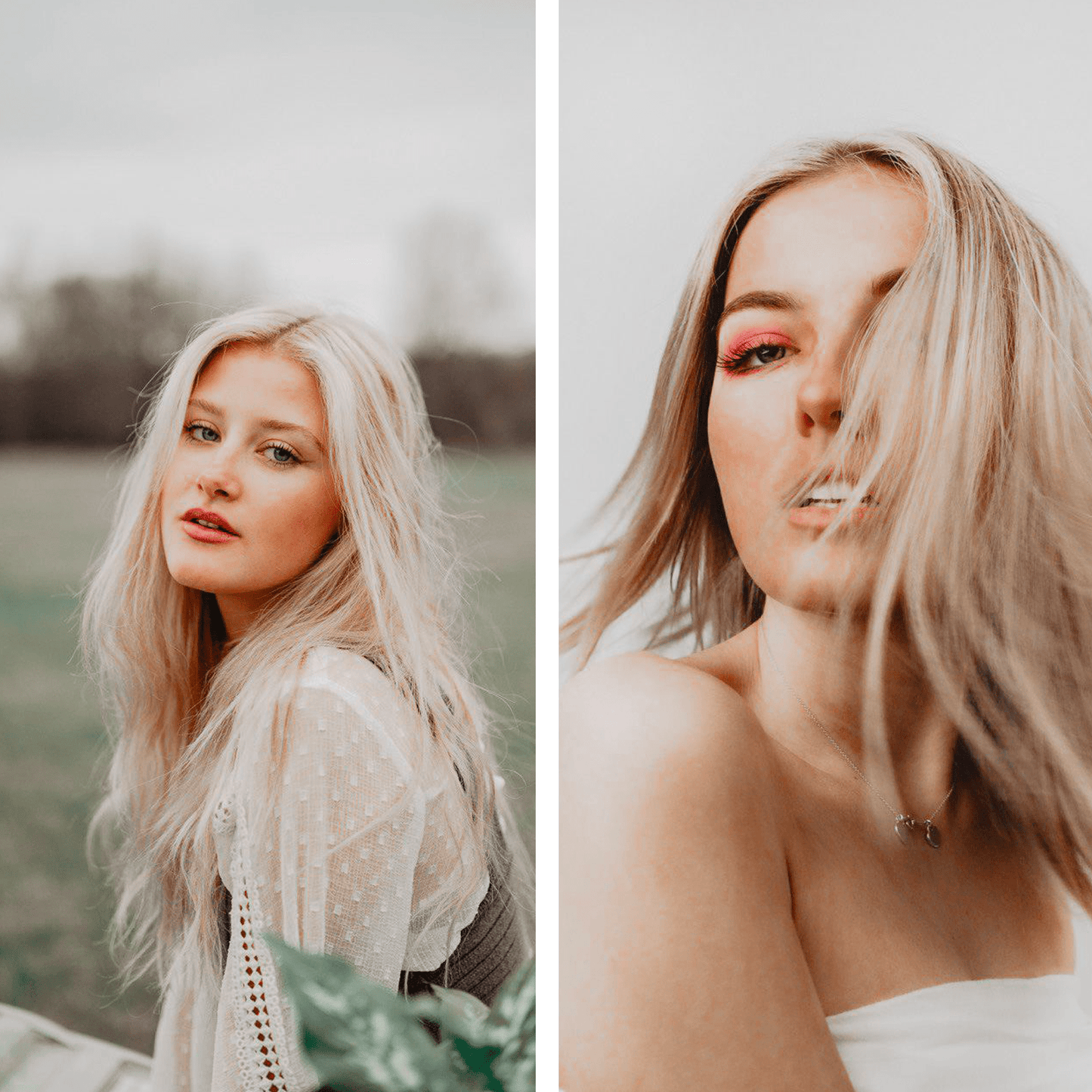 BLOGGER COLLECTION (20 presets)
