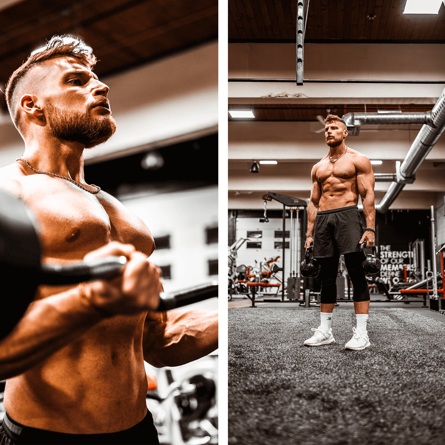 FITNESS COLLECTION (20 presets)