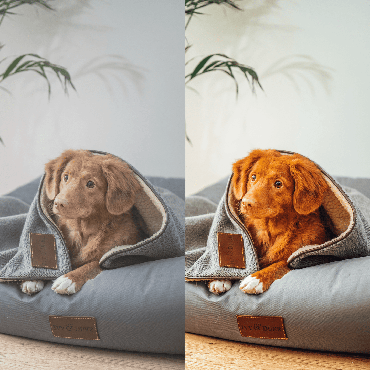 PUPPY COLLECTION (10 presets)