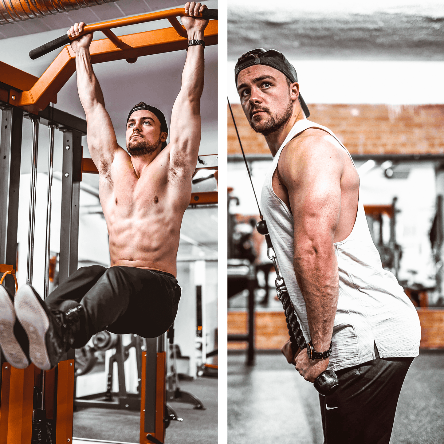 FITNESS COLLECTION (20 presets)