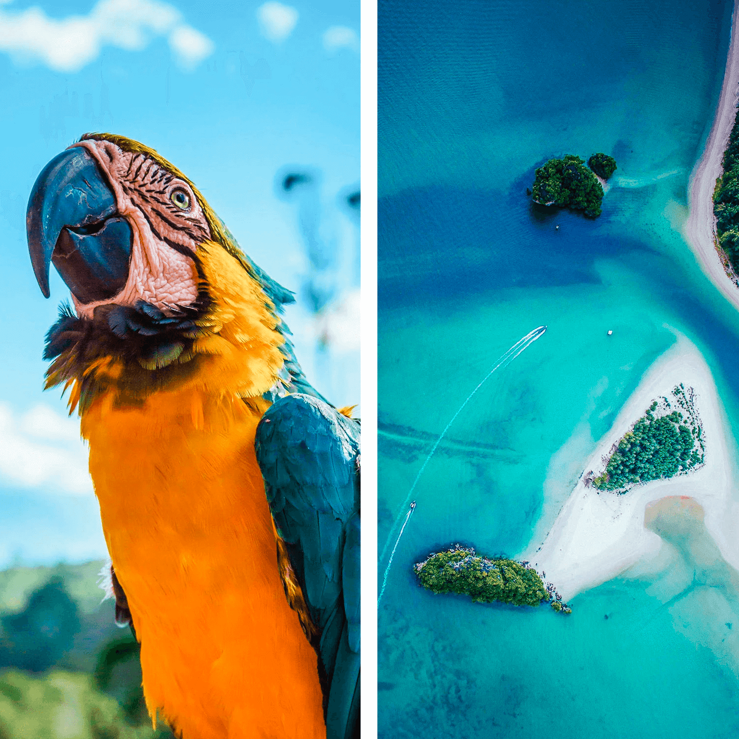 HAWAII COLLECTION (20 presets)