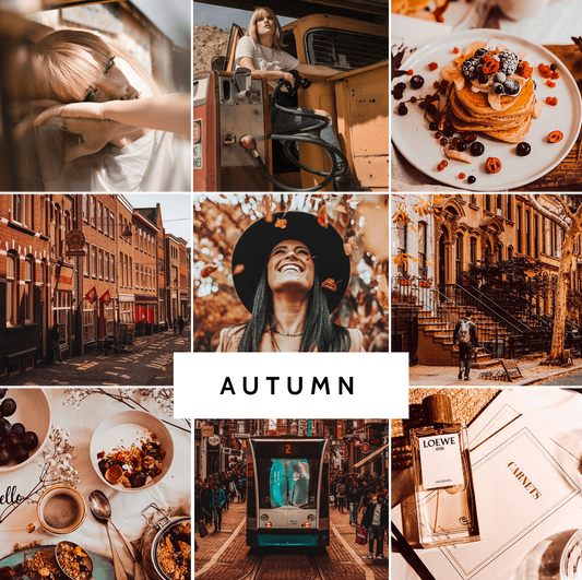 AUTUMN COLLECTION (20 presets)