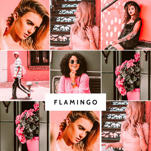 FLAMINGO COLLECTION (20 presets)