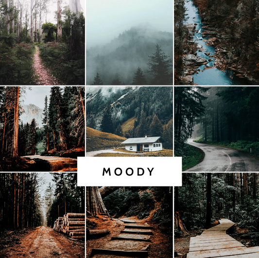 MOODY NATURE COLLECTION (20 presets)