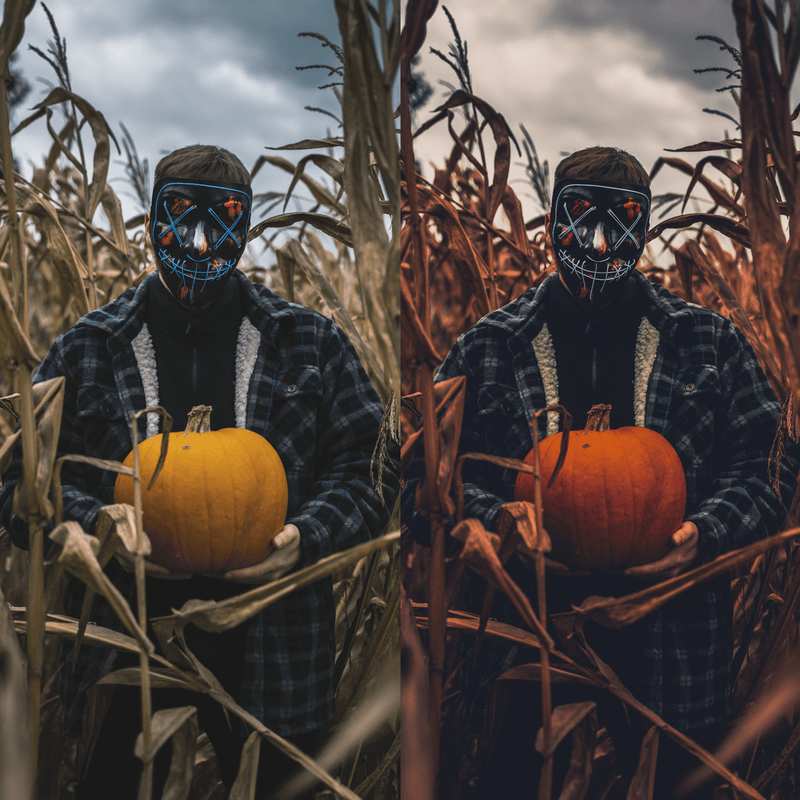 HALLOWEEN COLLECTION (20 presets)