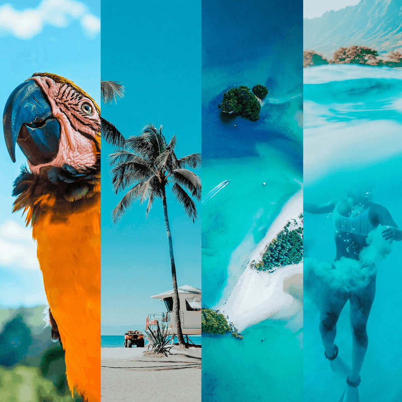 HAWAII COLLECTION (20 presets)